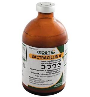 Bactracillin G Injectable Suspension 100ML