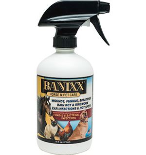 Banixx Horse & Pet Care Spray 16 Oz