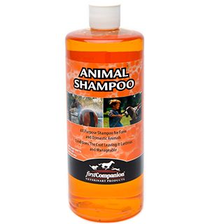 First Companion – Animal Shampoo – 32oz