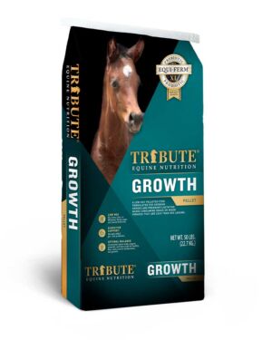 Tribute – 16% Growth PL – 50lbs