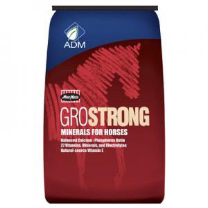 ADM – Grostrong Horse Minerals – 25lbs