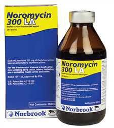 Noromycin LA-300 Injectable 250ml
